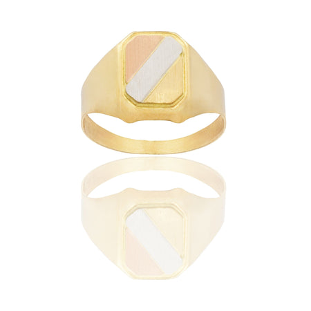 Anello Oro Giallo, Oro Bianco, Oro Rosa Oro 18 carati Uomo Scudo Rettangolare Solo Oro 